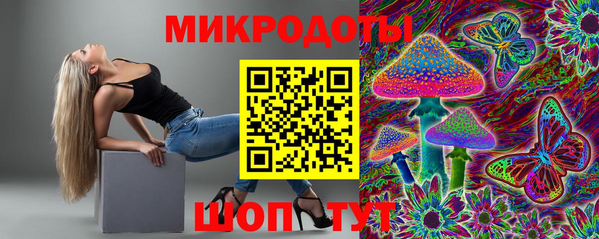 Псилоцибиновые грибы Cubensis Всеволожск