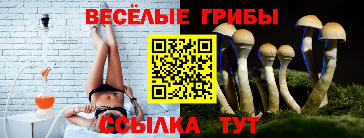 Всеволожск  Псилоцибиновые грибы мицелий  Вход с VPN 